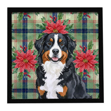 Load image into Gallery viewer, Bernese Mountain Dog Christmas PoinsettIas Framed Metal Print