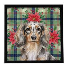 Load image into Gallery viewer, Longhaired Dapple Dachshund Christmas PoinsettIas Framed Metal Print