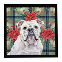 Load image into Gallery viewer, White English Bulldog Christmas PoinsettIas Framed Metal Print