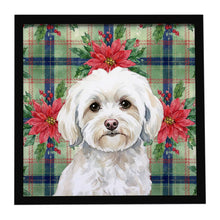 Load image into Gallery viewer, White Havanese Christmas PoinsettIas Framed Metal Print