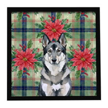 Load image into Gallery viewer, Norwegian Elkhound Christmas PoinsettIas Framed Metal Print
