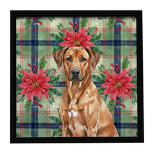 Load image into Gallery viewer, Rhodesian Ridgeback Christmas PoinsettIas Framed Metal Print