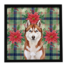 Load image into Gallery viewer, Red and White Siberian Husky Christmas PoinsettIas Framed Metal Print