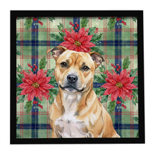 Load image into Gallery viewer, Fawn Staffordshire Bull Terrier Christmas PoinsettIas Framed Metal Print