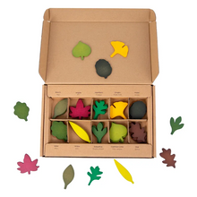 Load image into Gallery viewer, **Pre-order (Ships in 1-2 Weeks)**40-Piece Woodland Leaves Wooden Forest Set – Nature-Inspired Loose Parts Play
