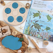 Load image into Gallery viewer, Double-Sided Wooden Life Cycle Board