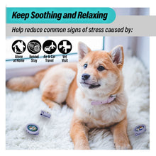 Load image into Gallery viewer, Aegis Calming Clip for Dog | 100% Natural Oil Helps your Dogs feel Safe and Happy