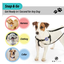 Load image into Gallery viewer, Aegis Calming Clip for Dog | 100% Natural Oil Helps your Dogs feel Safe and Happy
