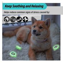 Load image into Gallery viewer, Aegis GLOW Calming Clip for Dog | 100% Natural Oil Helps your Dogs feel Safe and Happy
