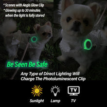 Load image into Gallery viewer, Aegis GLOW Calming Clip for Dog | 100% Natural Oil Helps your Dogs feel Safe and Happy