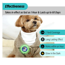 Load image into Gallery viewer, Aegis GLOW Calming Clip for Dog | 100% Natural Oil Helps your Dogs feel Safe and Happy