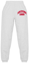 Load image into Gallery viewer, University of Arizona Established Sweatpants
