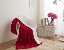 Load image into Gallery viewer, DaDa Bedding Luxury Romantic Red Lovely Hearts Dreamy Plush Faux Fur Throw Blanket (19)