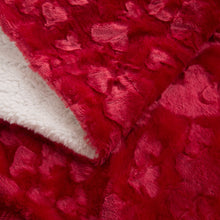 Load image into Gallery viewer, DaDa Bedding Luxury Romantic Red Lovely Hearts Dreamy Plush Faux Fur Throw Blanket (19)