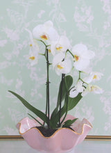 Load image into Gallery viewer, Chinoiserie Dreams Scalloped Bowls with 22K Gold Accent