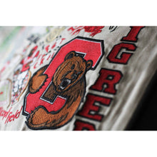Load image into Gallery viewer, Cornell University Collegiate Embroidered Pillow by CatStudio