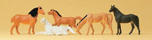 Load image into Gallery viewer, Preiser 14150 HO Scale Animals -- Horses pkg(5)