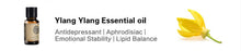Load image into Gallery viewer, Essential Oils for Diffuser - 12 Kinds Of Fragrance