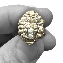 Load image into Gallery viewer, PBX-004-A Law Enforcement Officers Memorial National Police Memorial Lion Cufflinks PBA FOP FLEOA