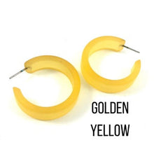 Load image into Gallery viewer, Chandler Hoop Earrings