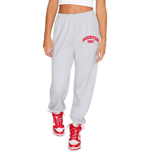 Load image into Gallery viewer, University of Houston Established Sweatpants