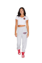 Load image into Gallery viewer, Harvard Embroidered Sweatpants