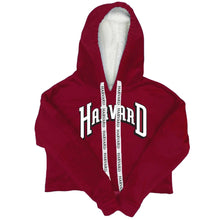 Load image into Gallery viewer, Harvard Varsity Furry Hoodie
