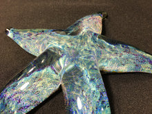 Load image into Gallery viewer, Coronado Sparkle Starfish