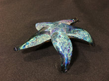 Load image into Gallery viewer, Coronado Sparkle Starfish