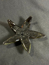 Load image into Gallery viewer, Dappled Sunshine Starfish