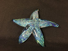 Load image into Gallery viewer, Coronado Sparkle Starfish