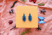 Load image into Gallery viewer, Colorful Beetles