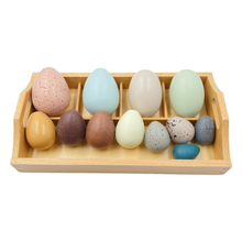 Load image into Gallery viewer, 12 Pcs Wooden Bird Eggs Set