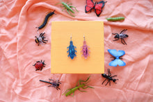 Load image into Gallery viewer, Colorful Beetles