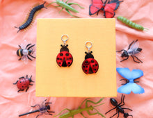 Load image into Gallery viewer, Lil' Lady Bug
