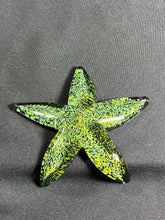 Load image into Gallery viewer, Dappled Sunshine Starfish