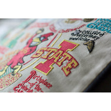 Load image into Gallery viewer, Iowa State University Collegiate Embroidered Pillow by CatStudio