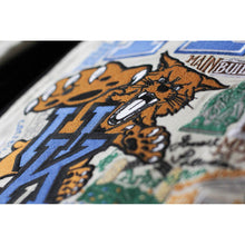 Load image into Gallery viewer, Kentucky, University of Collegiate Embroidered Pillow by CatStudio