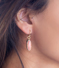Load image into Gallery viewer, Lucent Orange Sponge Coral Golden Drop Earrings
