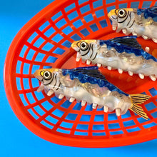 Load image into Gallery viewer, Sardine Hair Claw