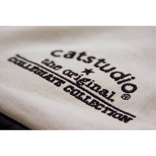 Load image into Gallery viewer, Pennsylvania, University of Collegiate Embroidered Pillow by CatStudio