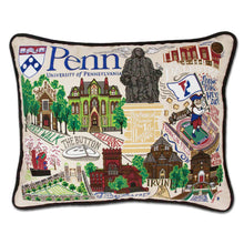 Load image into Gallery viewer, Pennsylvania, University of Collegiate Embroidered Pillow by CatStudio