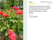 Load image into Gallery viewer, Plant Juice