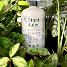 Load image into Gallery viewer, Plant Juice