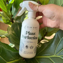Load image into Gallery viewer, Plant Perfection