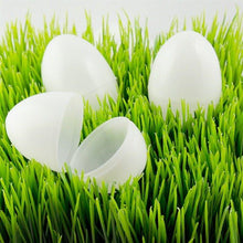 Load image into Gallery viewer, Set of 24 White Plastic Easter Eggs 2.25 Inches