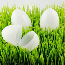 Load image into Gallery viewer, 12 White Plastic Easter Eggs