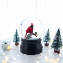Load image into Gallery viewer, Red Cardinal on a Branch Musical Water Snow Globe