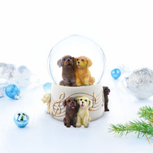 Load image into Gallery viewer, Dogs Party Musical Water Snow Globe