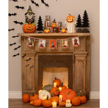Load image into Gallery viewer, Pumpkin Cat Luminary by Bethany Lowe Designs